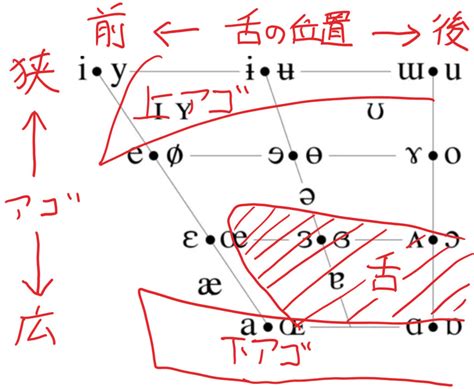 lottery の発音： lottery の 英語 の発音 .